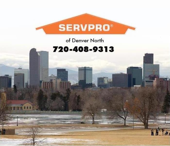 Denver with park in forground