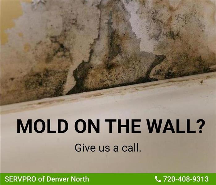 mold on the wall with phone number to SERVPRO of Denver North