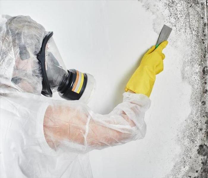 Technician in PPE removing mold from wall