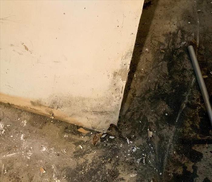 Mold on the walls and floor of a home
